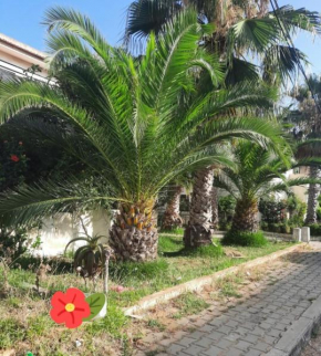 ZELIS FAMILY House